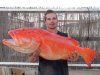 Dan1's Coral Trout